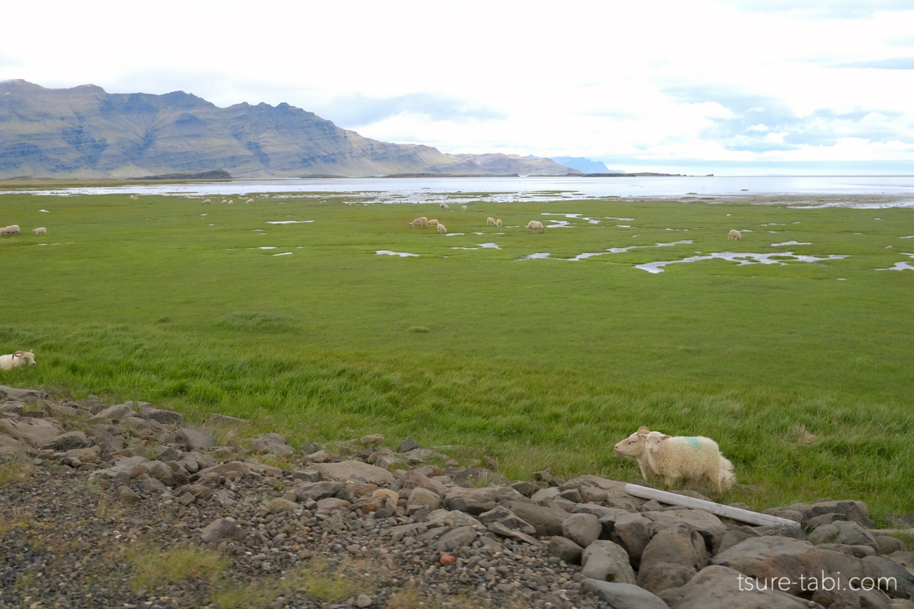 east iceland view