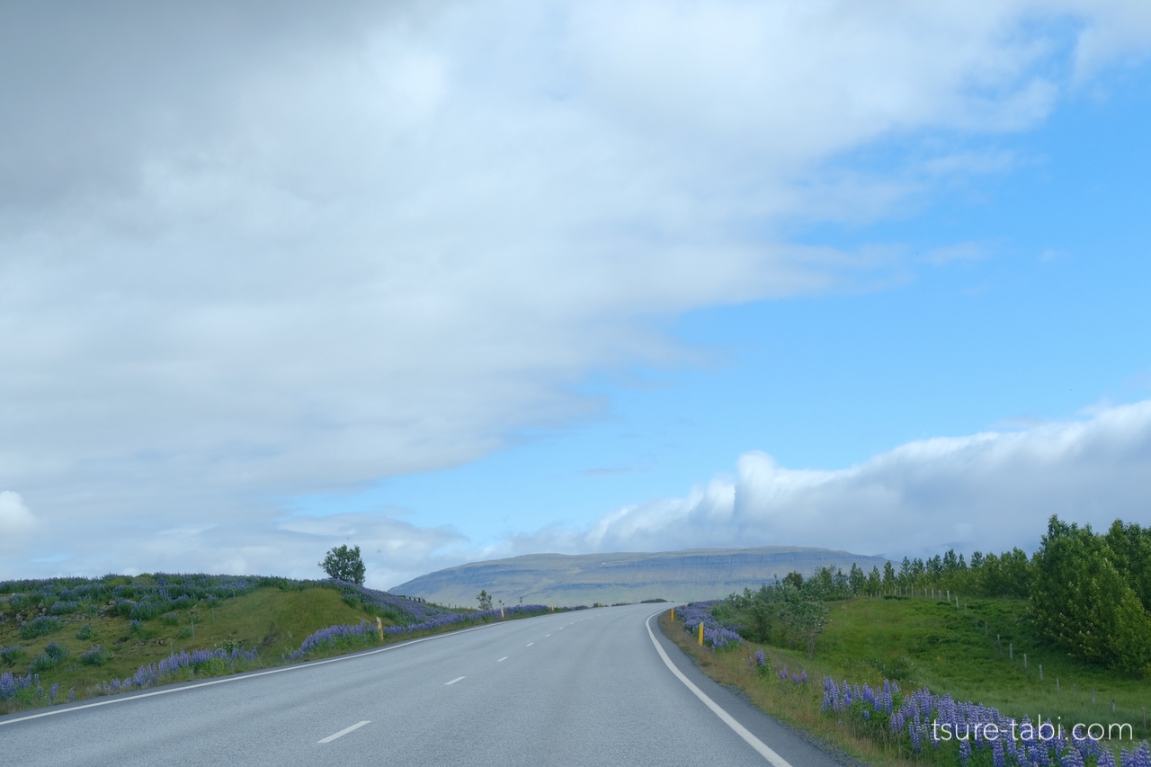 アイスランド　道中