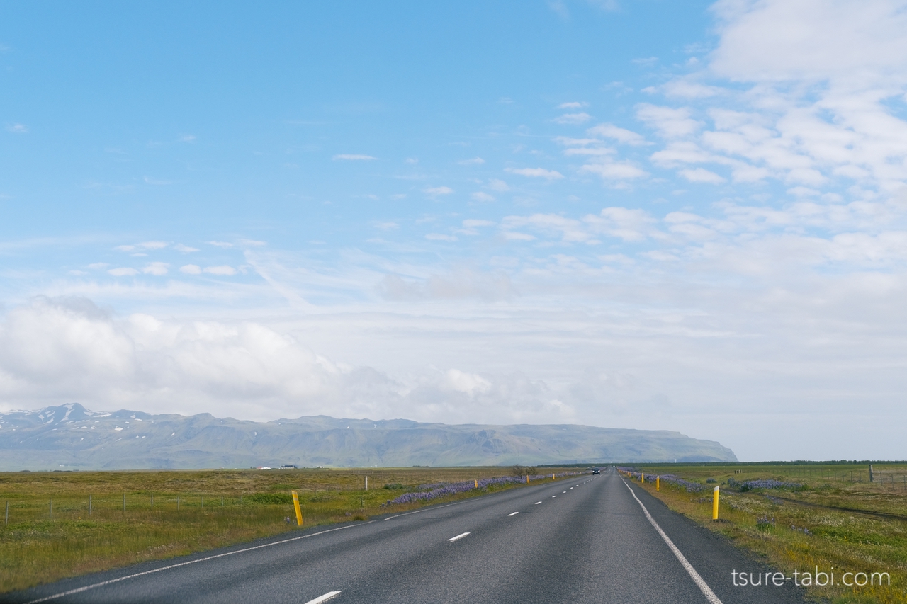 南アイスランドの道